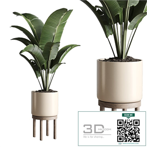 Indoor plant 48 vase wood