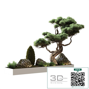 Decor with pine