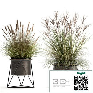 Collection of outdoor metal potted plants with Reeds, grass, bushes, weinik. Set 980.