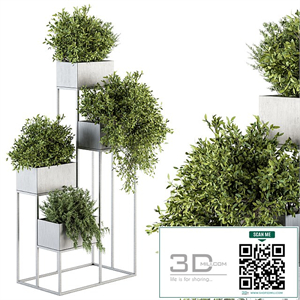 indoor Plant Set 213 - Silver Plant Stand