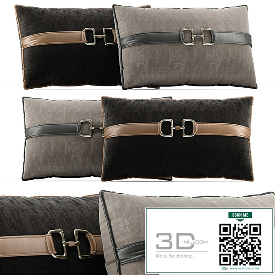 Decorative Pillow # 6