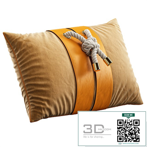 Decorative Pillow # 11