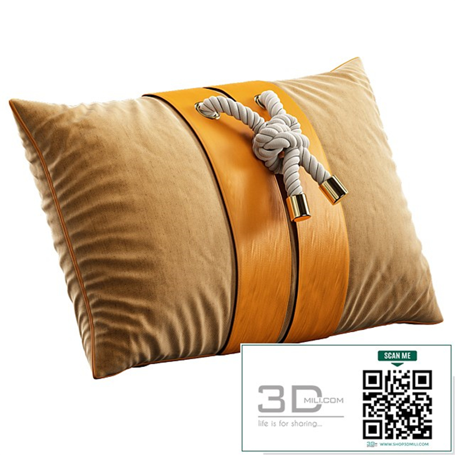 Decorative Pillow # 11