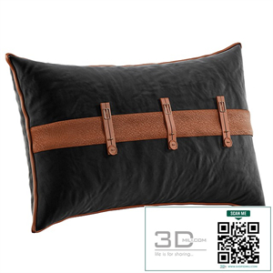 Decorative Pillow # 26