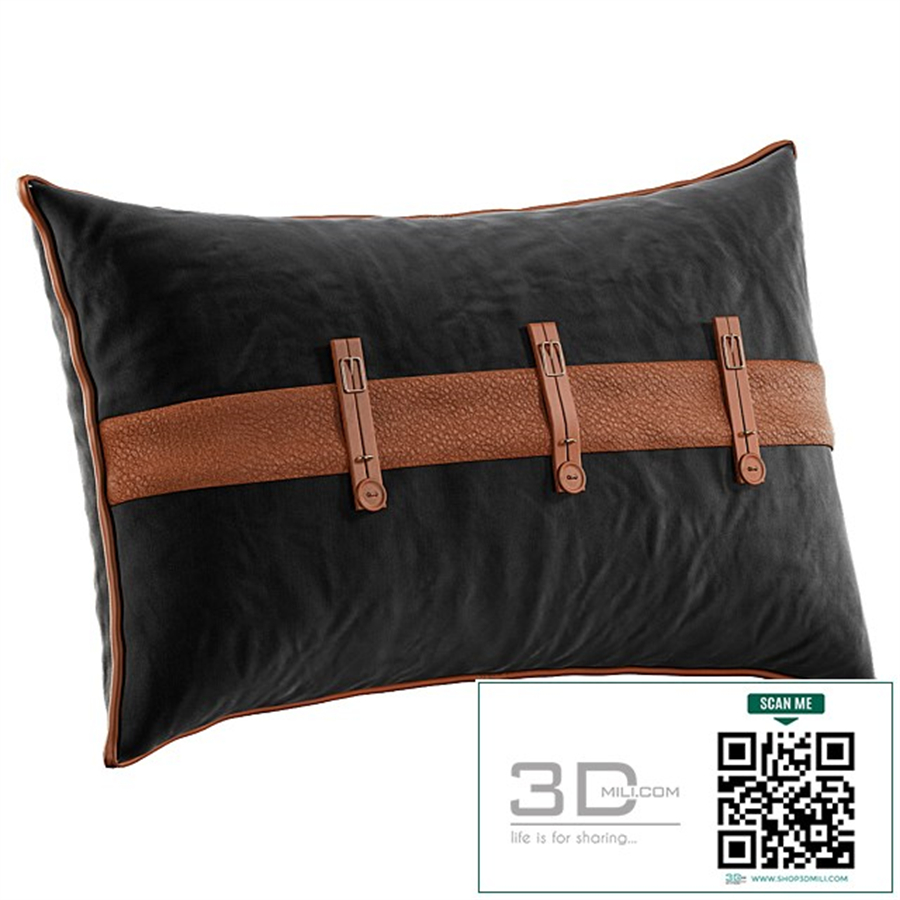 Decorative Pillow # 26