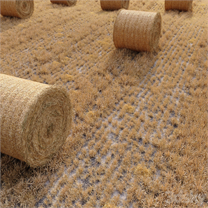 Farm field with hay bale