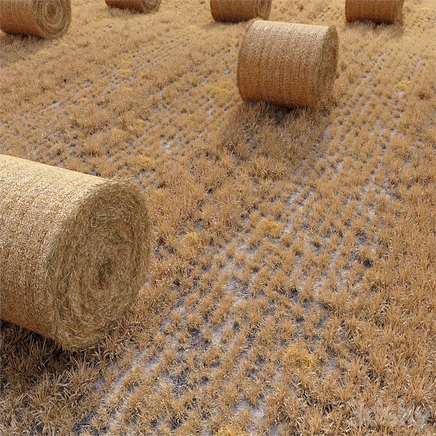 Farm field with hay bale