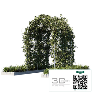 Outdoor_plants01