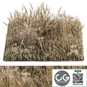 Wild Grass Dried and Wheat - Grass Set 04