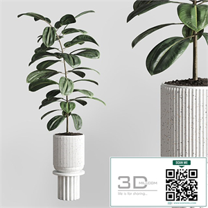 Indoor plant 79 pot plant concrete vase