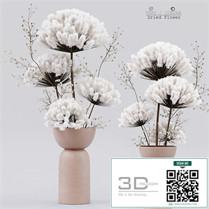 Dried Flower
