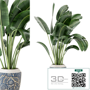 Indoor Plants in rusty Concrete Pot - Set 184
