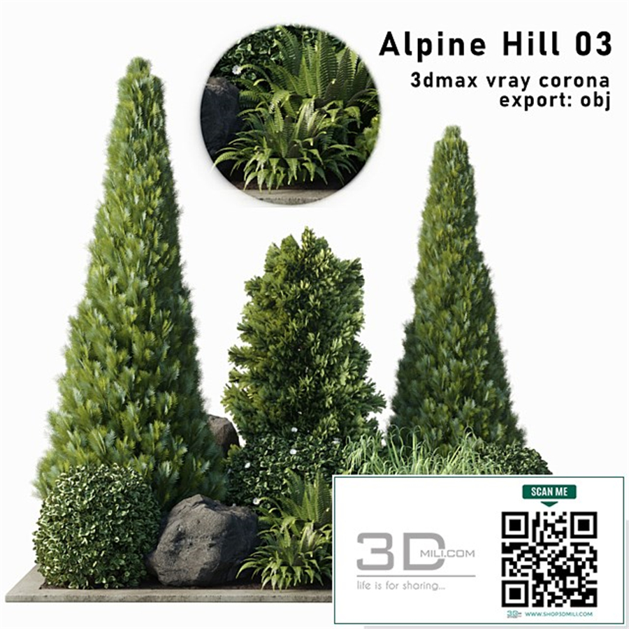 Alpine Hill 03 Rectangular garden