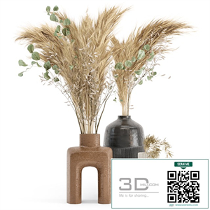 Dry plants 19 - Dried Plantset Pampas with Concrete vase