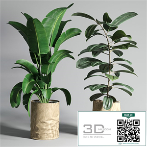 collection Indoor plant 88 paper vase envelope vase pot palnt