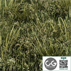 Wild Grass Green - Grass Set 03