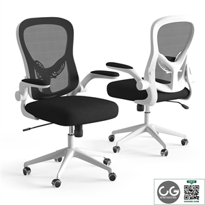 Xiaomi HBADA Ergonomic Double-Waisted Computer Chair HDNY163WM