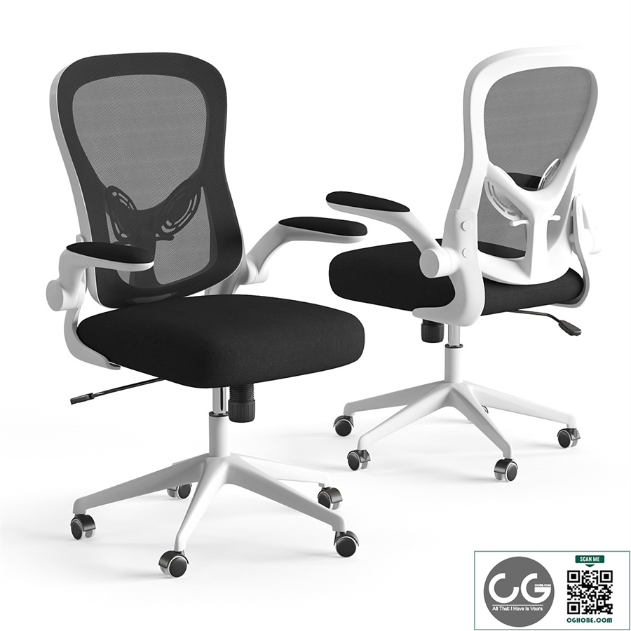Xiaomi HBADA Ergonomic Double-Waisted Computer Chair HDNY163WM