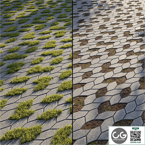 Eco-paving Type 1 Pattern 6