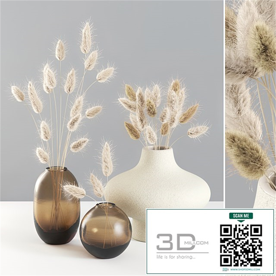 Dried Lagurus Bouquets 01