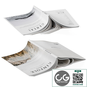 Magazines cover up