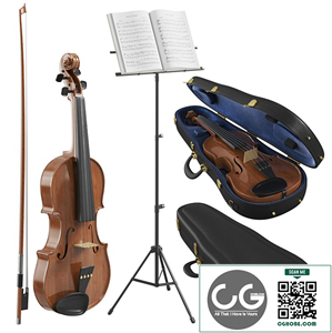 The Violin With Case