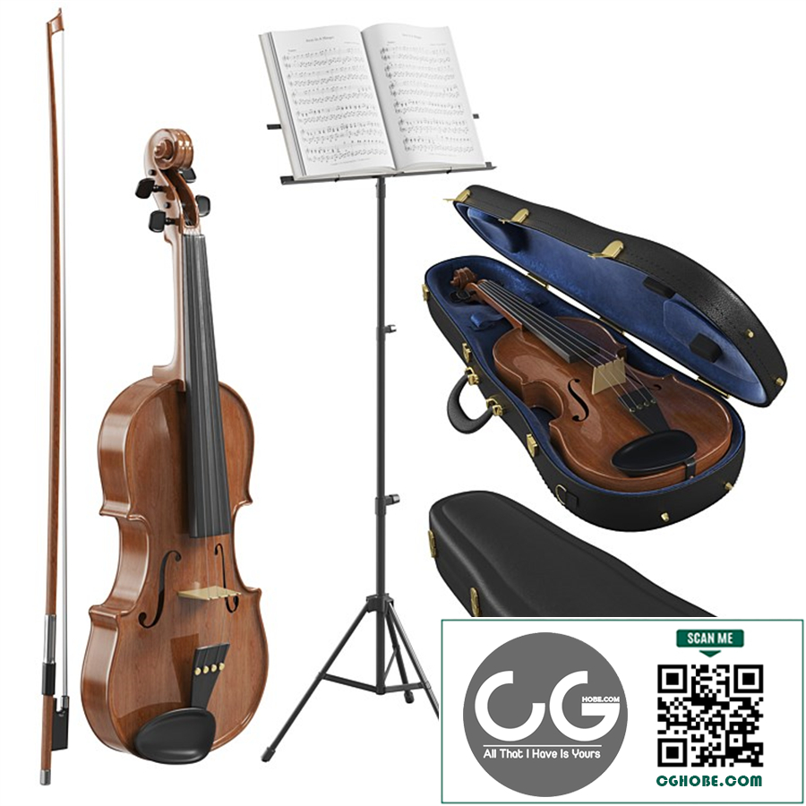 The Violin With Case