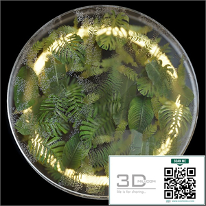Greenbox - wall-mounted phytomodule with lighting Vargov Design