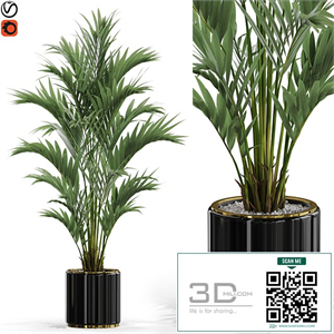 Plants collection 560