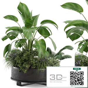 Outdoor Plants Bush in rusty Metal Pot - Set 222