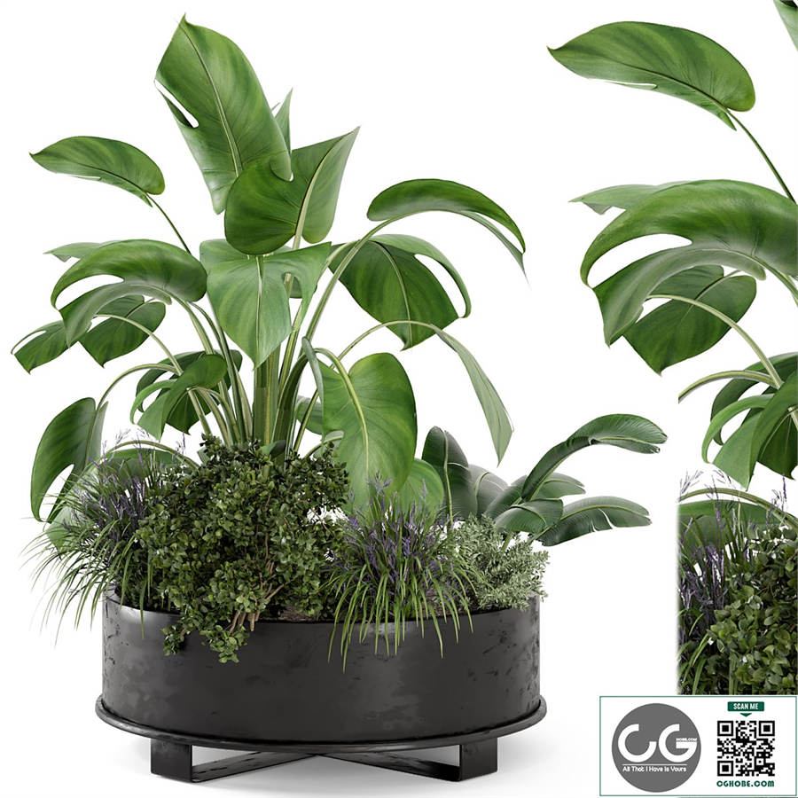 Outdoor Plants Bush in rusty Metal Pot - Set 222