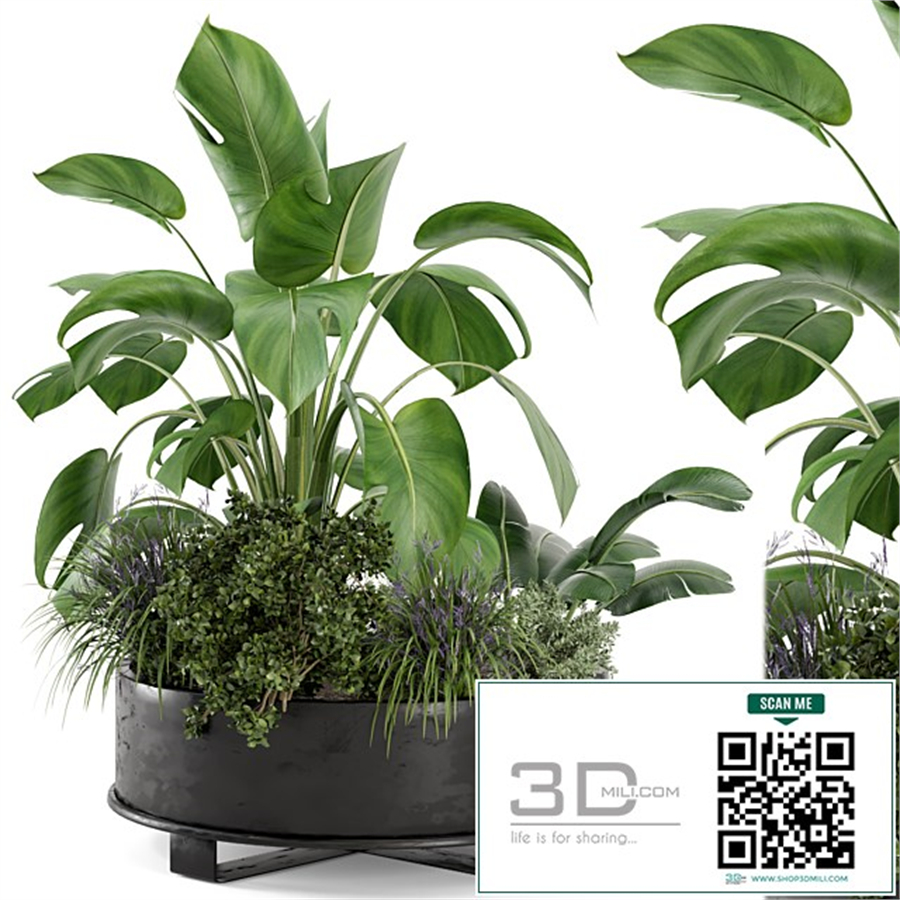 Outdoor Plants Bush in rusty Metal Pot - Set 222