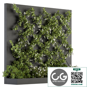Vertical Garden - Outdoor Green Wall