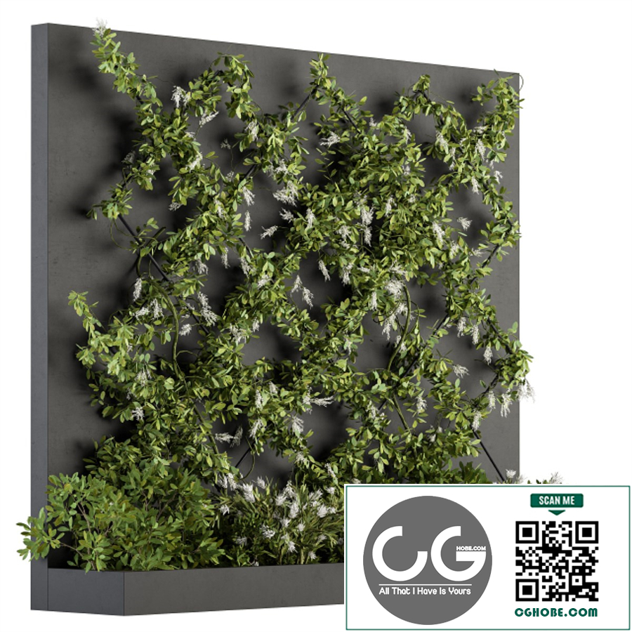 Vertical Garden - Outdoor Green Wall