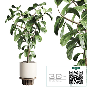 Indoor outdoor plant 106 wood vase pot ficus rubbery