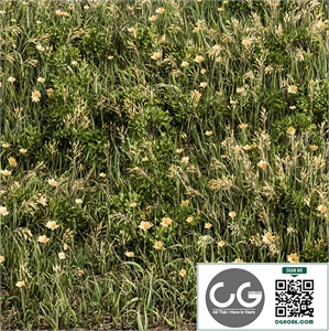 Green Grass with Yellow Flower - Grass Set 06