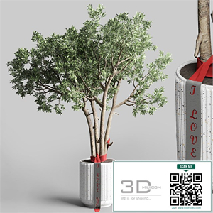 Indoor outdoor plant 111 pot friendship-love tree concrete vase