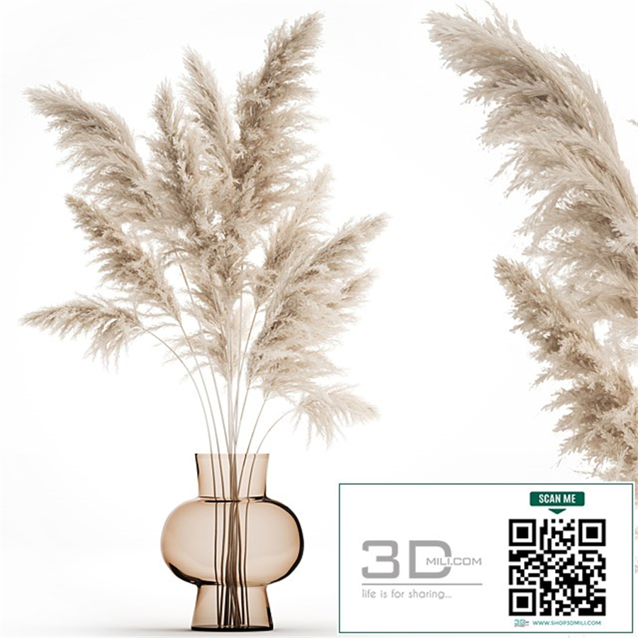 A beautiful lush bouquet of dried flowers in a vase with dry branches of pampas, Cortaderia, white reeds. 150.