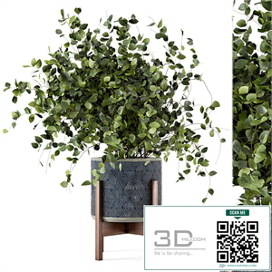 Indoor Plants in rusty Concrete Pot - Set 244