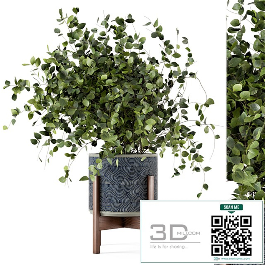 Indoor Plants in rusty Concrete Pot - Set 244