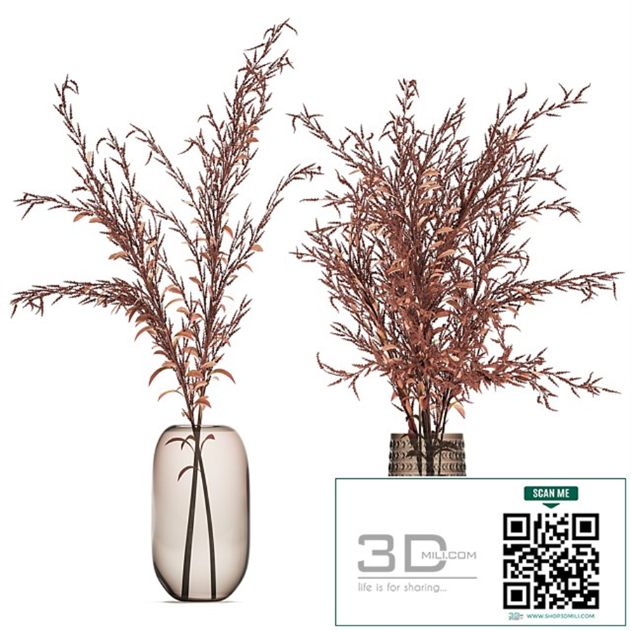 Bouquet of red branches of dried flowers in a glass vase with Goldenrod, Solidago. Set 153.