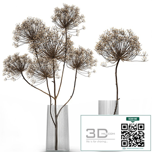 Bouquet of dried flowers in a glass vase with dry branches Hogweed . 158.