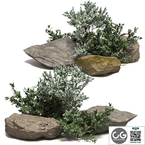 Stone + Bush Pack 8