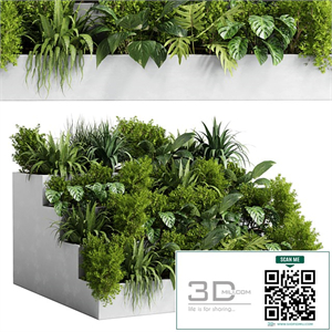 Collection outdoor indoor plant 54 stairs concrete vase pot fern bush grass ficus rubbery