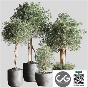 Indoor Plant Set12