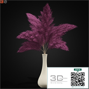 Bouquet of pink pampas