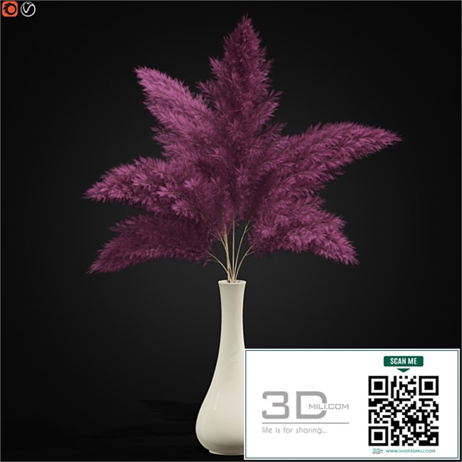Bouquet of pink pampas