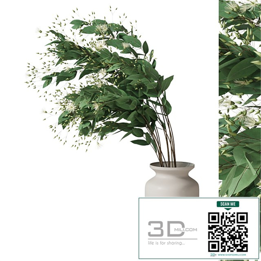 Boquet eucalyptus