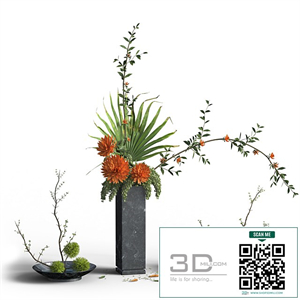 Indoor Plant Set 03 -three bouquets
