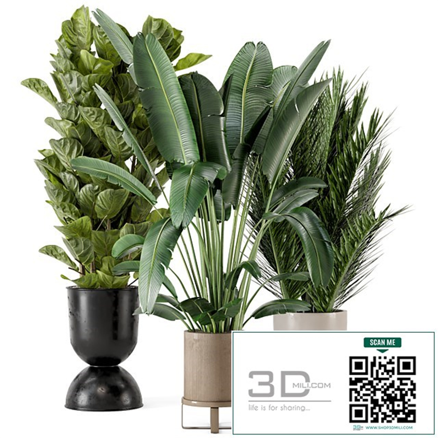 Indoor Plants in Ferm Living Bau Pot Large - Set 273